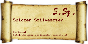 Spiczer Szilveszter névjegykártya
